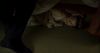 Filename=DGcapspt2caps-00289.png
Filesize=140KiB
Dimensions=624x336
Date added=Jan 09, 2010 DGcapspt2caps-00289.png