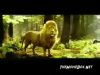 Filename=tvspot1cap0041.jpg
Filesize=19KiB
Dimensions=320x240
Date added=Nov 09, 2009 tvspot1cap0041.jpg
